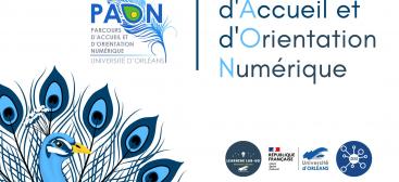 Illustration du Parcours d'accueil et d'orientation numérique