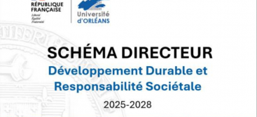 Schéma directeur DDRS