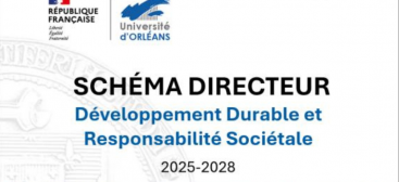 Schéma directeur DDRS