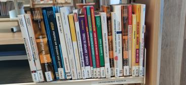 INSPE - BU mémoires