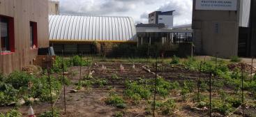 Jardin ouvert permaculturel près du Bouillon - associations étudiantes campus Ecolo et Tribu Terre - campus de La Source - juin 2019
