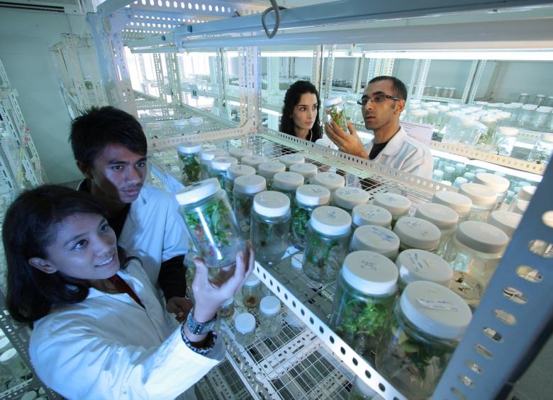 Doctorants en labos