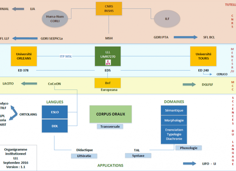 organigramme institutionnel du LLL