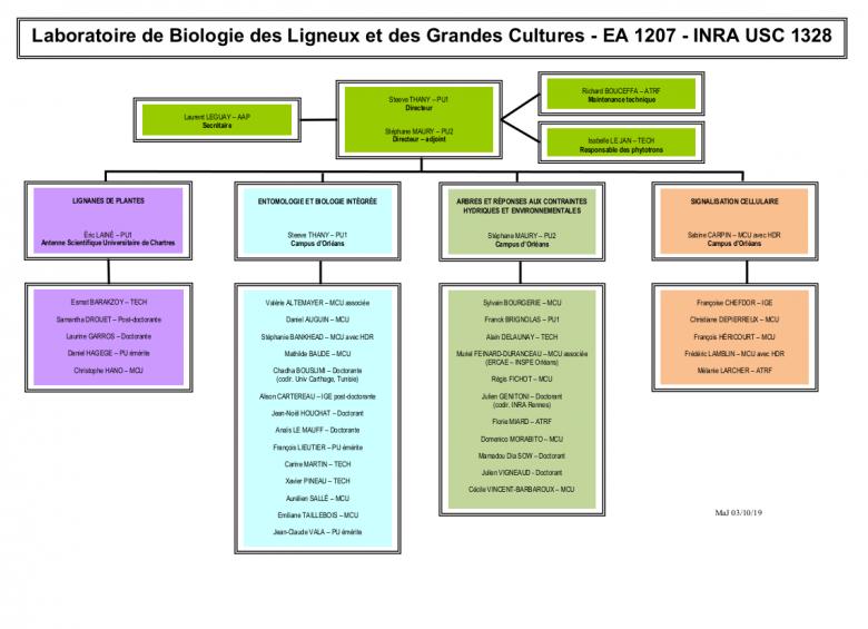 Organigramme
