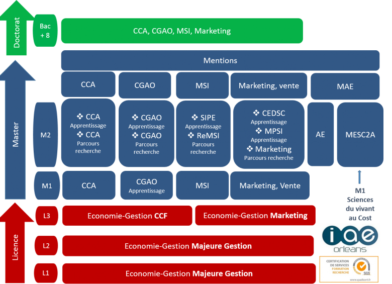 schéma formations IAE version 5