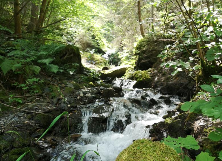 OSUC- eau,forêt