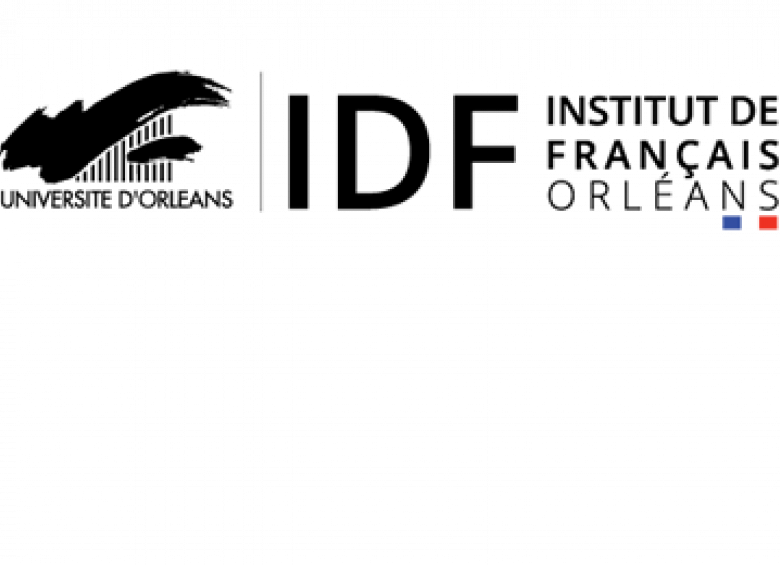 International - logo IDF