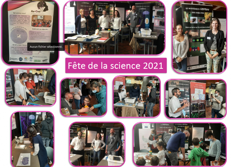 activités inem neuro immuno fête de la science 2021