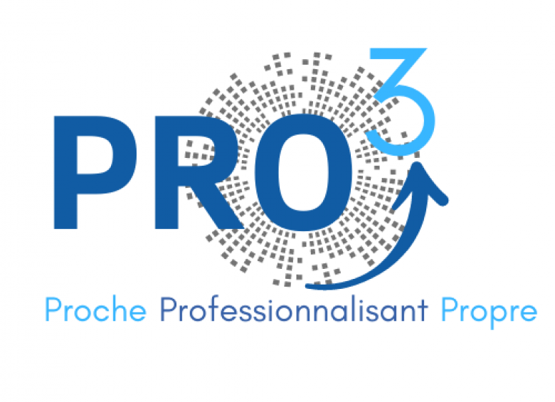 logo PRO3-DemoES