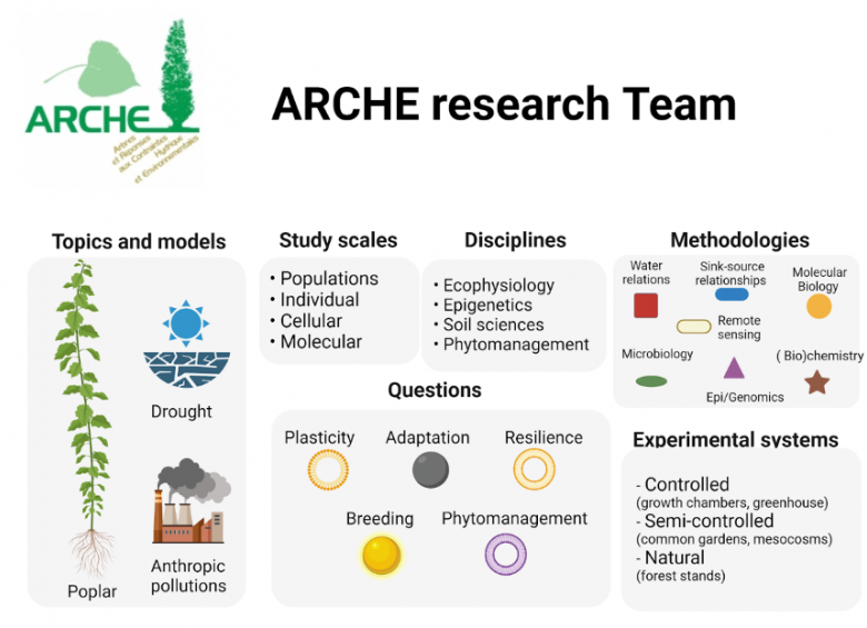 ARCHE topics