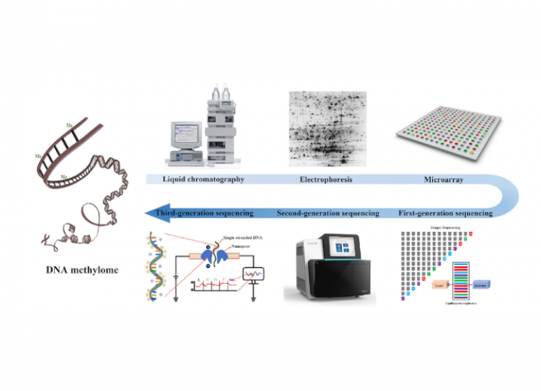 DNA methylation methods