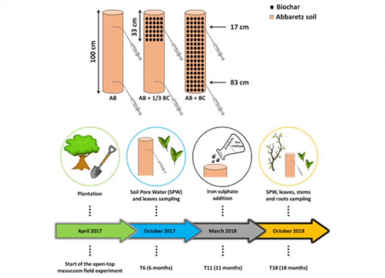 Experimental design set up