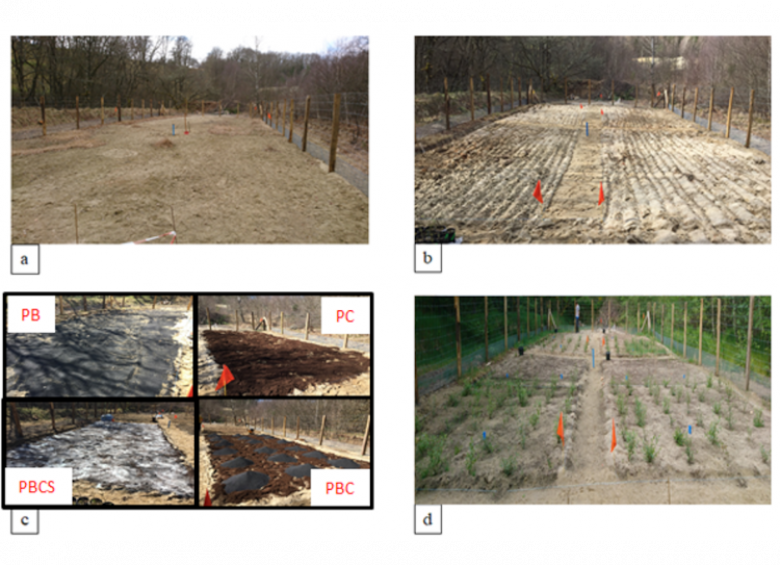 different stages of the implementation 