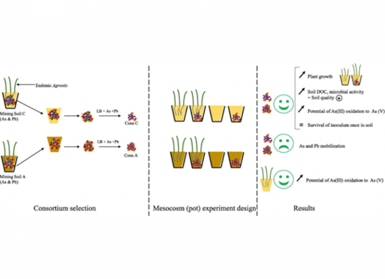 new bioremediation approach 