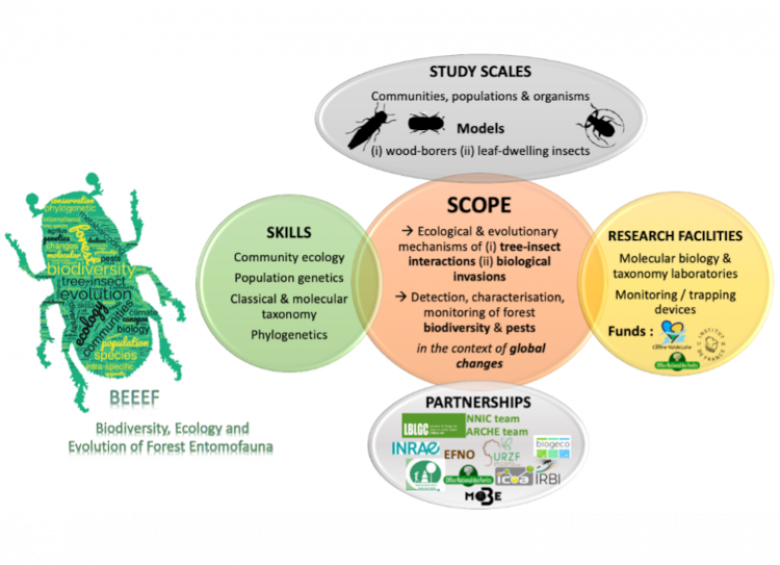 BEEEF schema