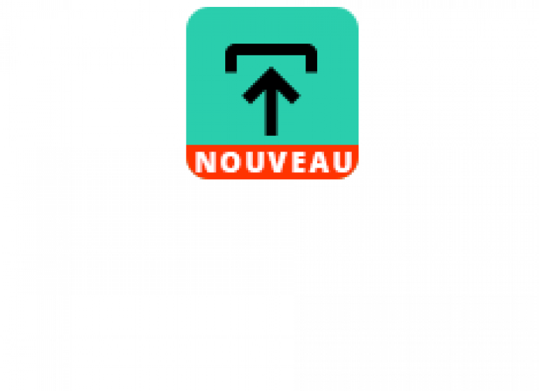 Application PJWEB