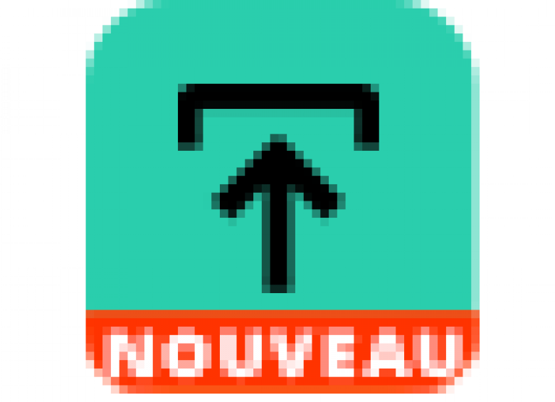 Application PJWEB