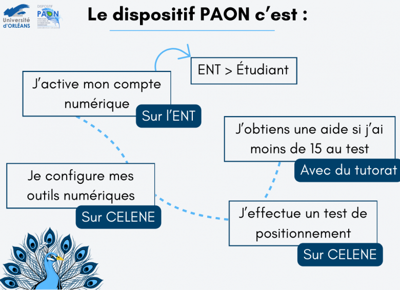 infographie activation compte numérique