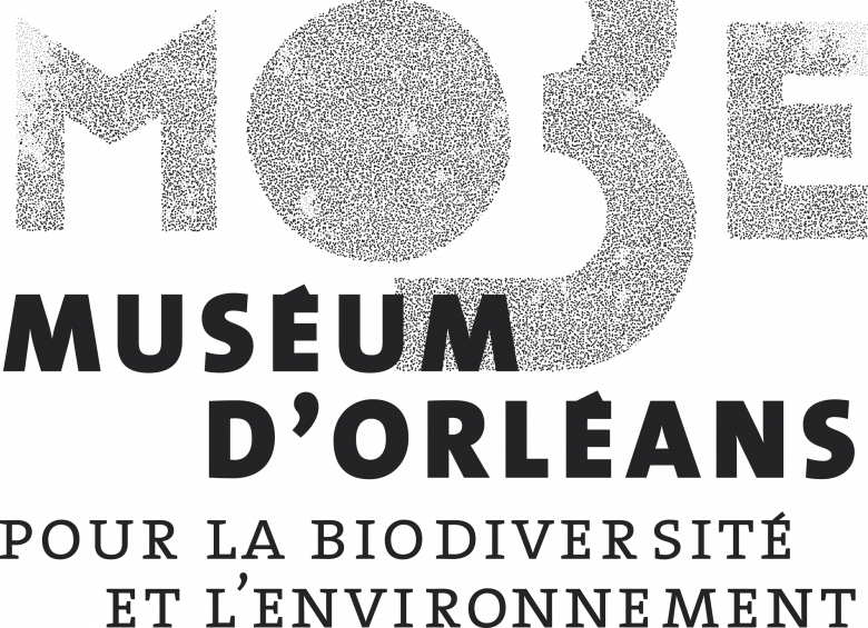Logo MOBE