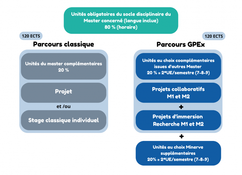 organigramme gpex minerve