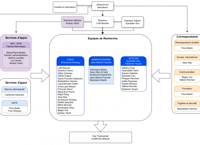 organigramme LLL 2024