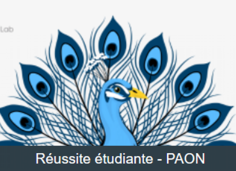 Catégorie Réussite étudiante - PAON sur CELENE