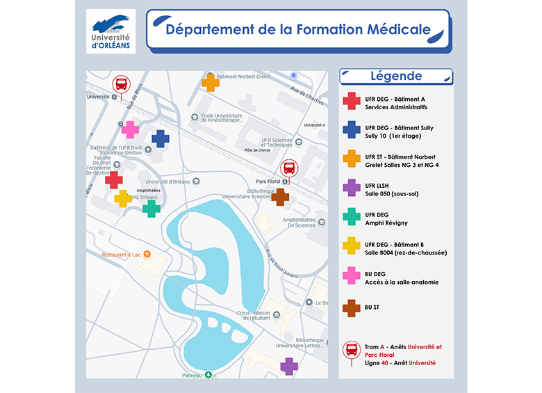 Plan DFM