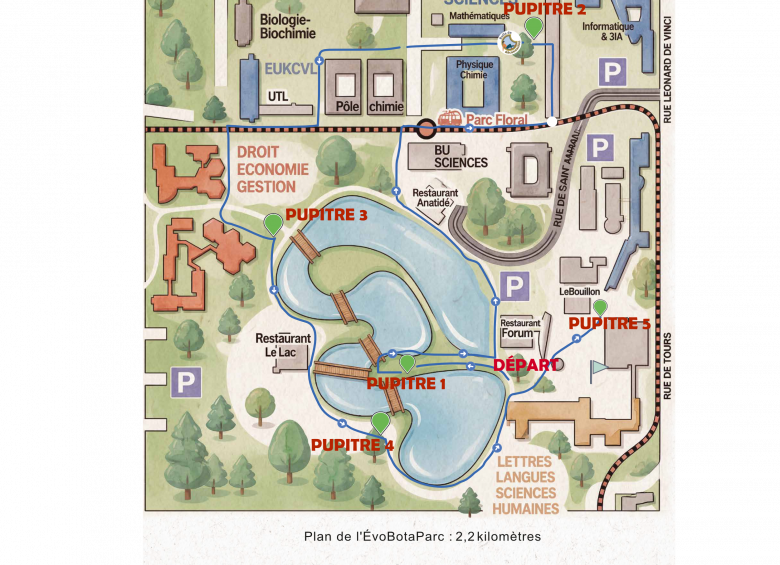 Plan de l'EvoBotaParc