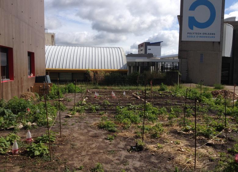 Jardin ouvert permaculturel près du Bouillon - associations étudiantes campus Ecolo et Tribu Terre - campus de La Source - juin 2019