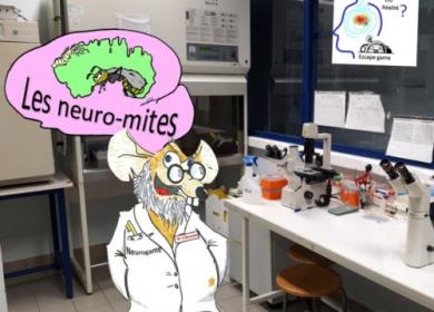 neurogame