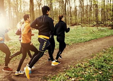 Running Sportifs en train de courir dans les bois