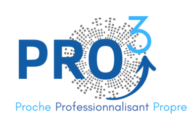 logo PRO3-DemoES