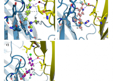 modele interaction ligand-recepteur