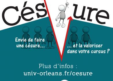 Visuel du dispositif de césure 2025