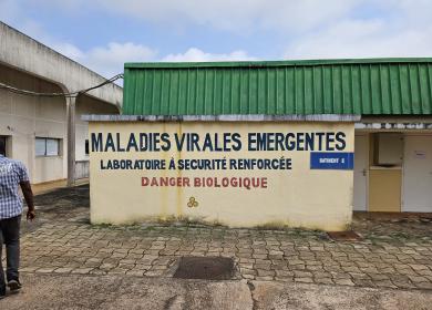 Maladies virales emergentes Gabon
