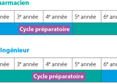 double diplôme ingénieur-pharmacien