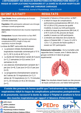 Infographie Cursino 2024