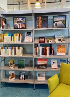Photo du rayonnage avec plusieurs livres du fond