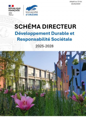 Schéma directeur DDRS