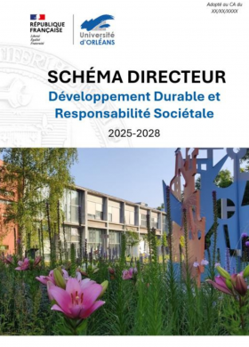 Schéma directeur DDRS