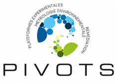 OSUC- pivots-logo.png