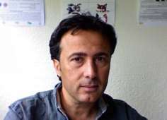 Domenico Morabito