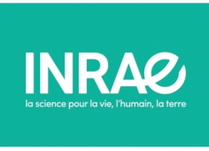 INRAe