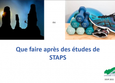 Etudes de STAPS