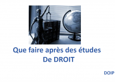 DOIP_Droit_2021