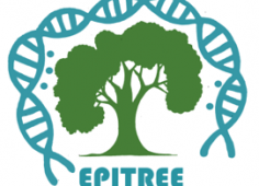 Logo epitree