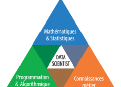 etre data scientist = au centre des maths / info / domaine d'application