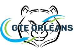 logo GTE