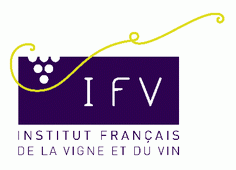 Logo_IFV