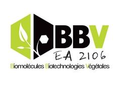 logo_BBV